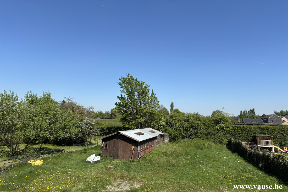 courriere50.jpg