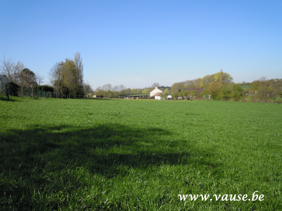 sauveniere-web60.jpg