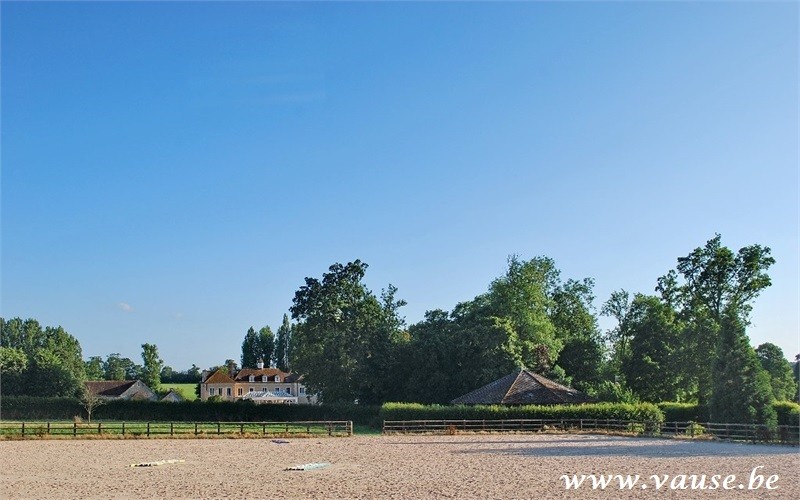 gazon-web07.jpg